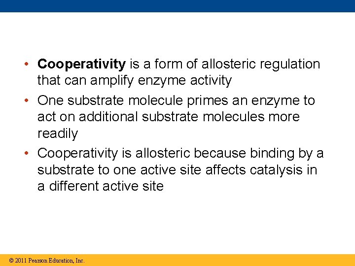  • Cooperativity is a form of allosteric regulation that can amplify enzyme activity