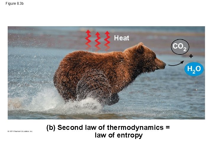 Figure 8. 3 b Heat (b) Second law of thermodynamics = law of entropy