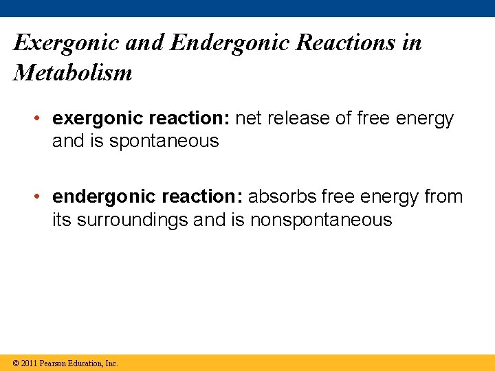 Exergonic and Endergonic Reactions in Metabolism • exergonic reaction: net release of free energy