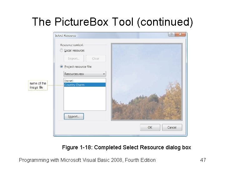 The Picture. Box Tool (continued) Figure 1 -18: Completed Select Resource dialog box Programming