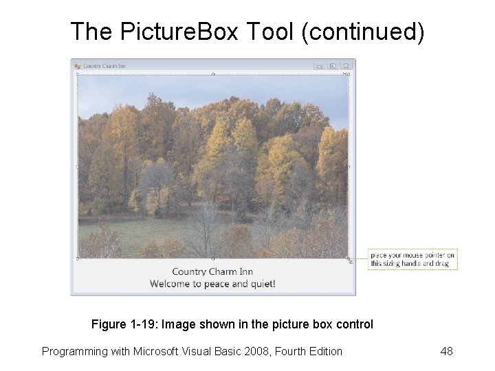 The Picture. Box Tool (continued) Figure 1 -19: Image shown in the picture box