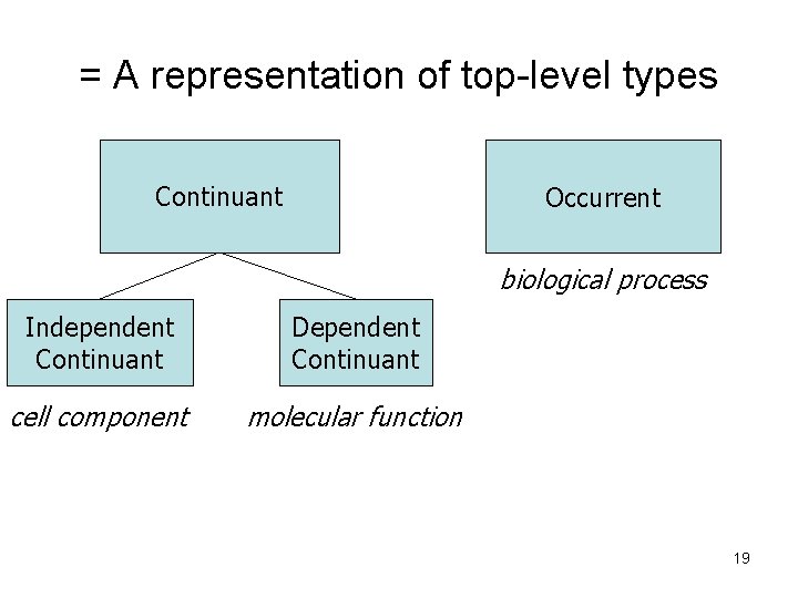 = A representation of top-level types Continuant Occurrent biological process Independent Continuant Dependent Continuant