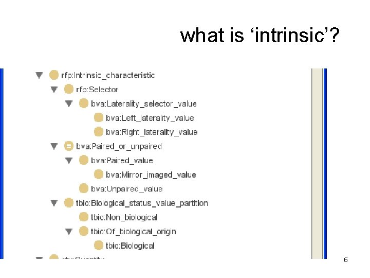 what is ‘intrinsic’? 6 