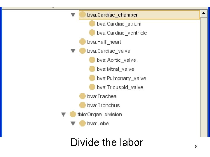 Divide the labor 8 