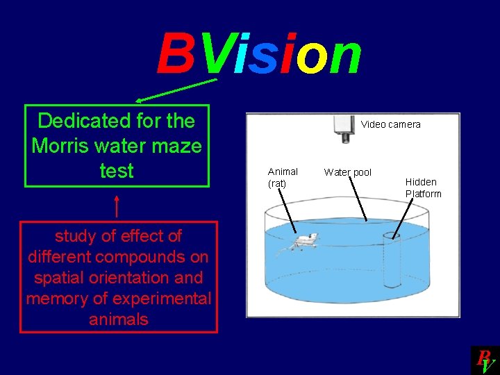 BVision Dedicated for the Morris water maze test Video camera Animal (rat) Water pool