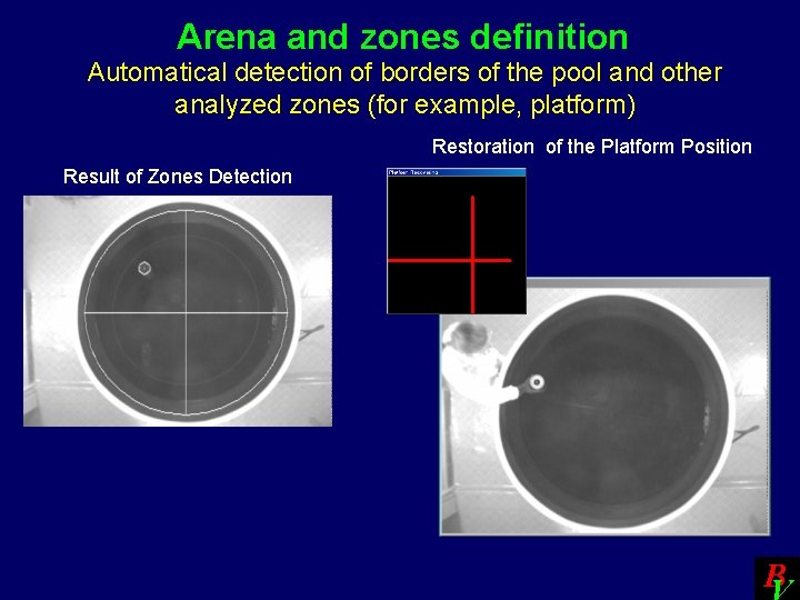 Arena and zones definition Automatical detection of borders of the pool and other analyzed