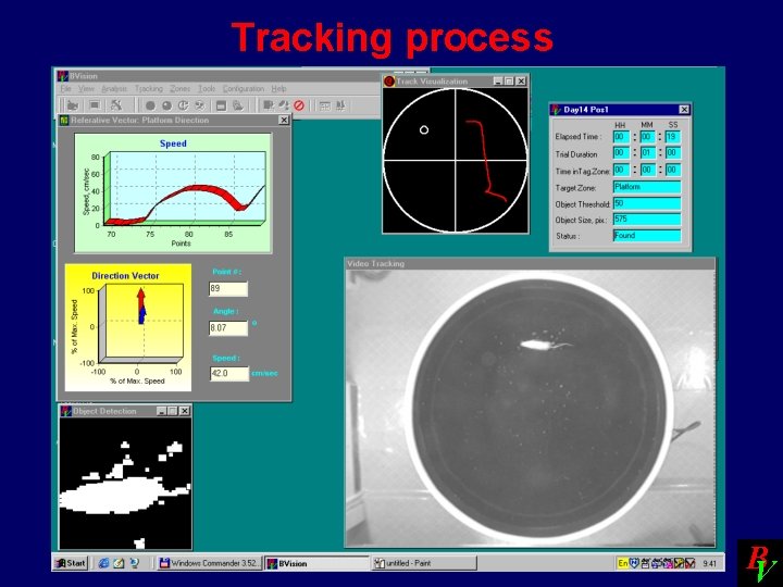 Tracking process BV 