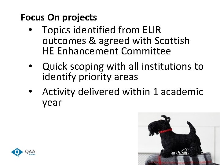 Focus On projects • Topics identified from ELIR outcomes & agreed with Scottish HE