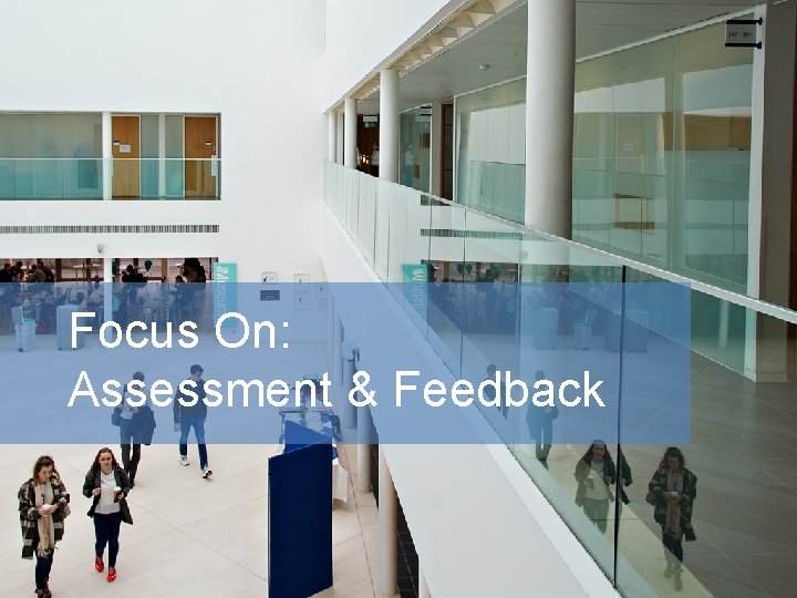 Focus On: Assessment & Feedback 