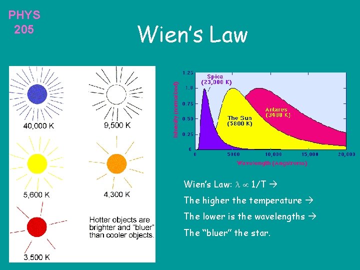 PHYS 205 Wien’s Law: 1/T The higher the temperature The lower is the wavelengths PHYS 205 Wien’s Law: 1/T The higher the temperature The lower is the wavelengths