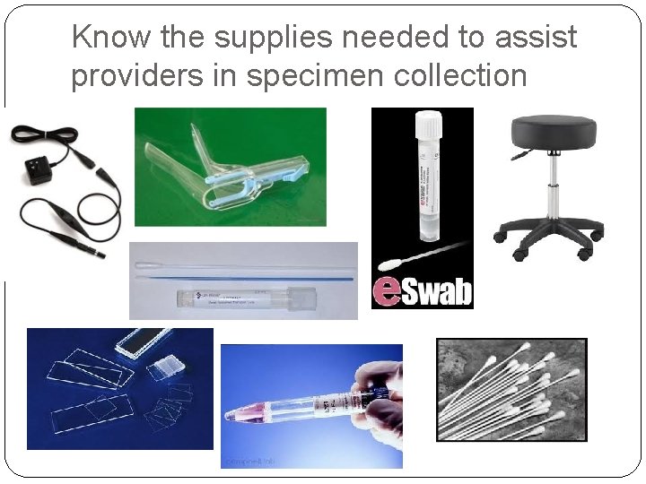 Know the supplies needed to assist providers in specimen collection 