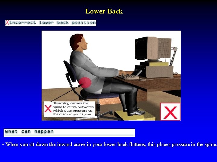 Lower Back • When you sit down the inward curve in your lower back