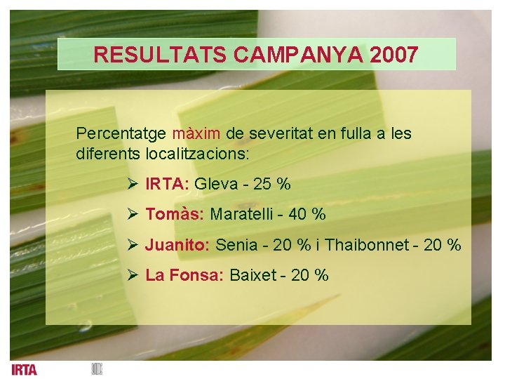 RESULTATS CAMPANYA 2007 Percentatge màxim de severitat en fulla a les diferents localitzacions: Ø