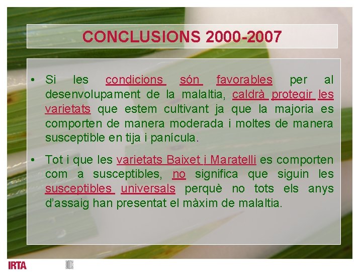 CONCLUSIONS 2000 -2007 • Si les condicions són favorables per al desenvolupament de la