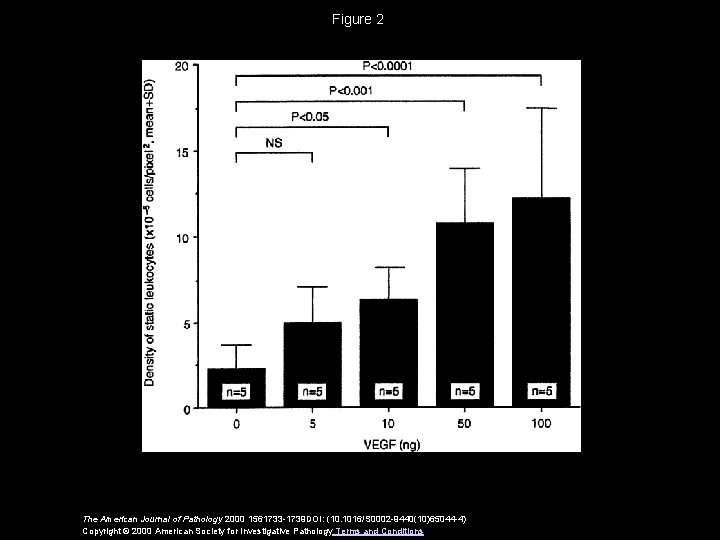 Figure 2 The American Journal of Pathology 2000 1561733 -1739 DOI: (10. 1016/S 0002