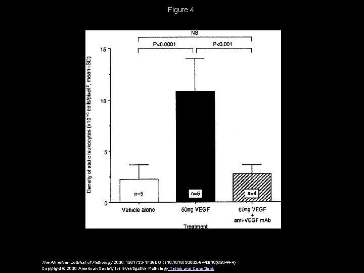 Figure 4 The American Journal of Pathology 2000 1561733 -1739 DOI: (10. 1016/S 0002