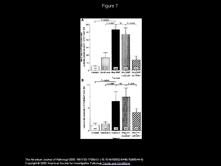 Figure 7 The American Journal of Pathology 2000 1561733 -1739 DOI: (10. 1016/S 0002