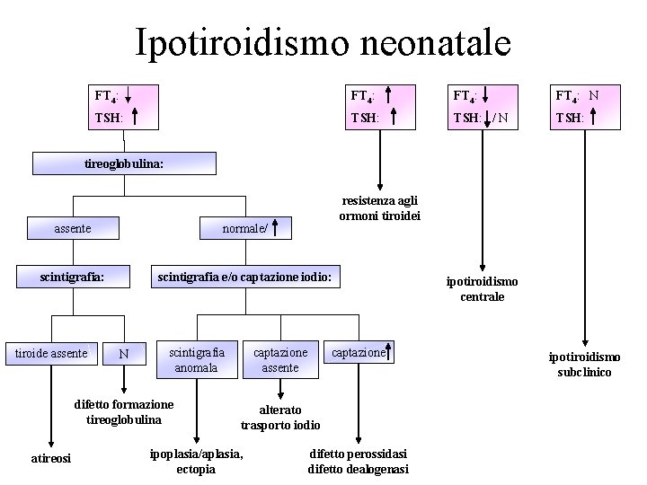 Ipotiroidismo neonatale FT 4: N TSH: / N TSH: tireoglobulina: resistenza agli ormoni tiroidei