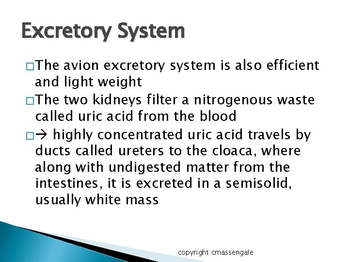 Excretory System � The avion excretory system is also efficient and light weight �