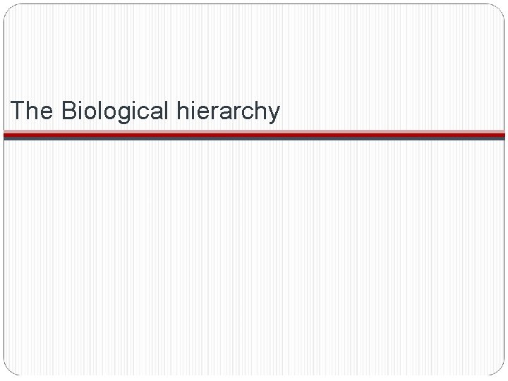 Unifying Themes in Biology Chapter 1 Lecture Objectives