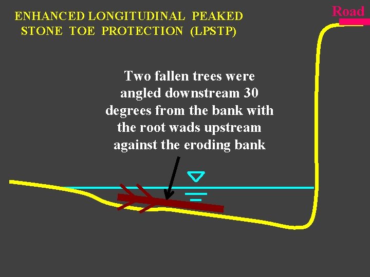 ENHANCED LONGITUDINAL PEAKED STONE TOE PROTECTION (LPSTP) Two fallen trees were angled downstream 30