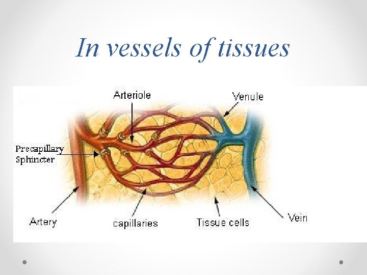 In vessels of tissues 