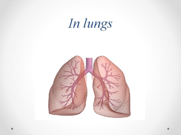 In lungs 