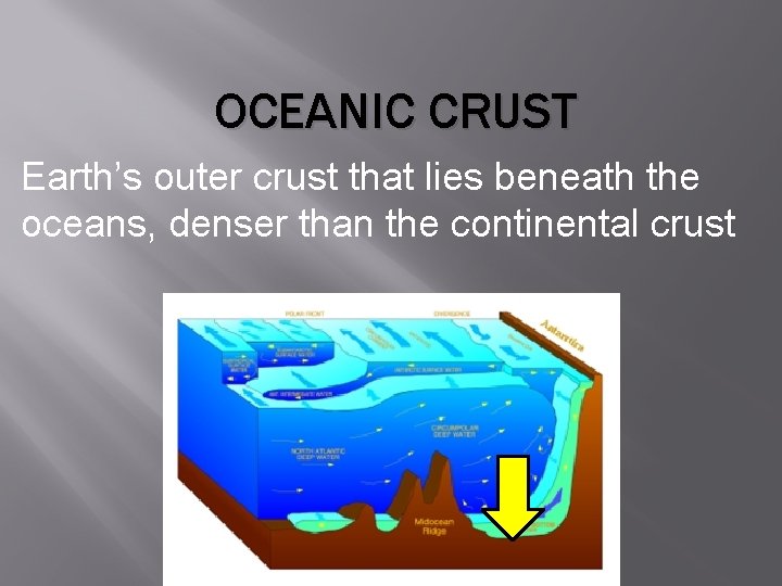 OCEANIC CRUST Earth’s outer crust that lies beneath the oceans, denser than the continental