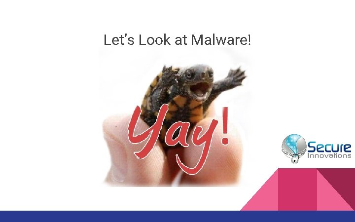 Let’s Look at Malware! 