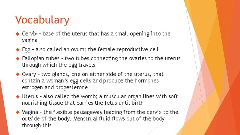 Vocabulary Cervix – base of the uterus that has a small opening into the