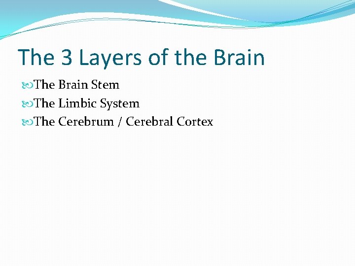 The 3 Layers of the Brain The Brain Stem The Limbic System The Cerebrum