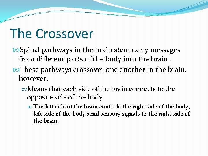 The Crossover Spinal pathways in the brain stem carry messages from different parts of