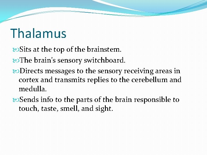 Thalamus Sits at the top of the brainstem. The brain’s sensory switchboard. Directs messages