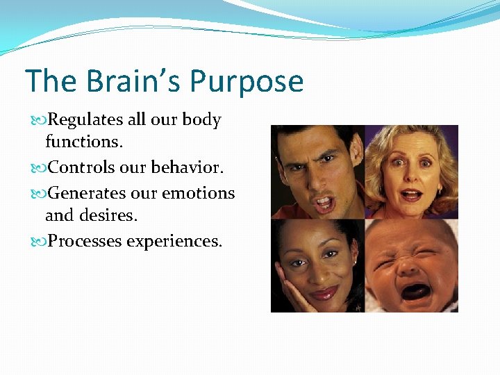 The Brain’s Purpose Regulates all our body functions. Controls our behavior. Generates our emotions