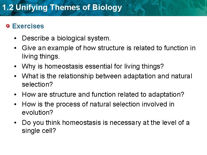 1. 2 Unifying Themes of Biology Exercises • Describe a biological system. • Give