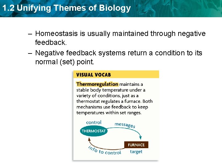 1. 2 Unifying Themes of Biology – Homeostasis is usually maintained through negative feedback.