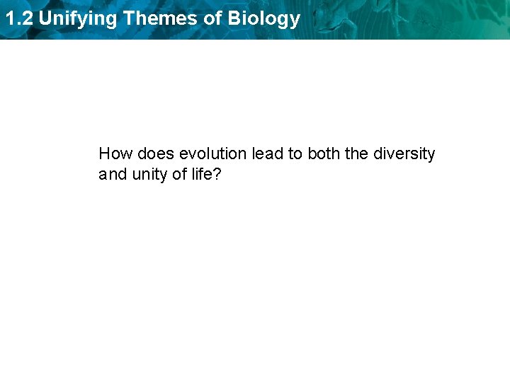 1. 2 Unifying Themes of Biology How does evolution lead to both the diversity