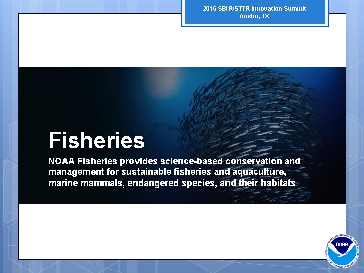 2016 SBIR/STTR Innovation Summit Austin, TX Fisheries NOAA Fisheries provides science-based conservation and management