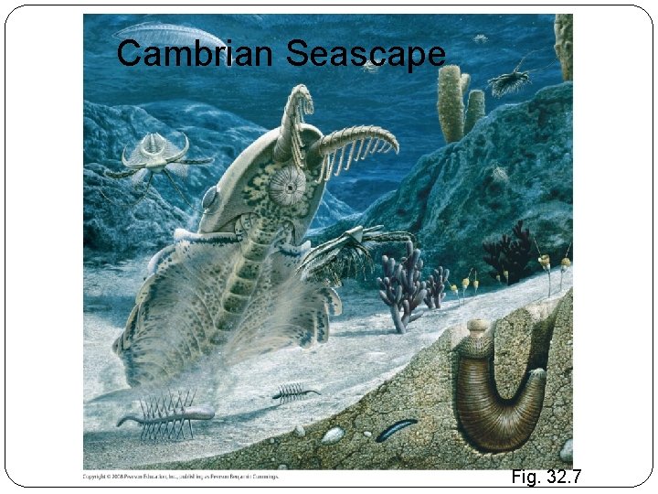 Cambrian Seascape Fig. 32. 7 