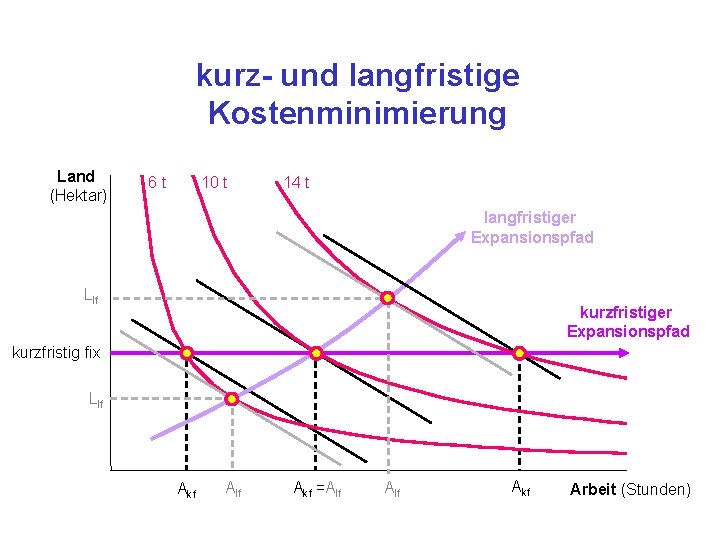 kurz- und langfristige Kostenminimierung Land (Hektar) 6 t 10 t 14 t langfristiger Expansionspfad