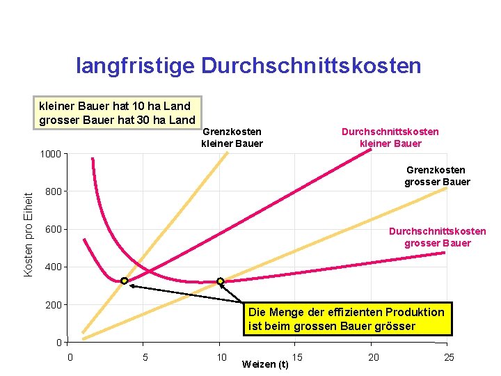 langfristige Durchschnittskosten kleiner Bauer hat 10 ha Land grosser Bauer hat 30 ha Land