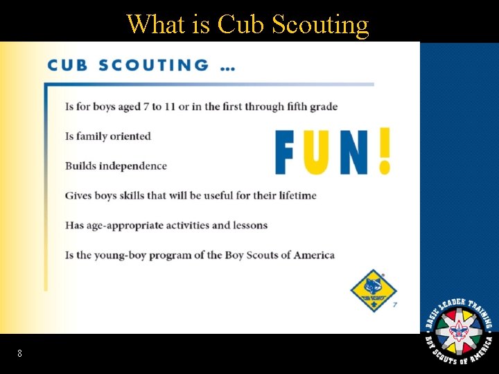 What is Cub Scouting 8 