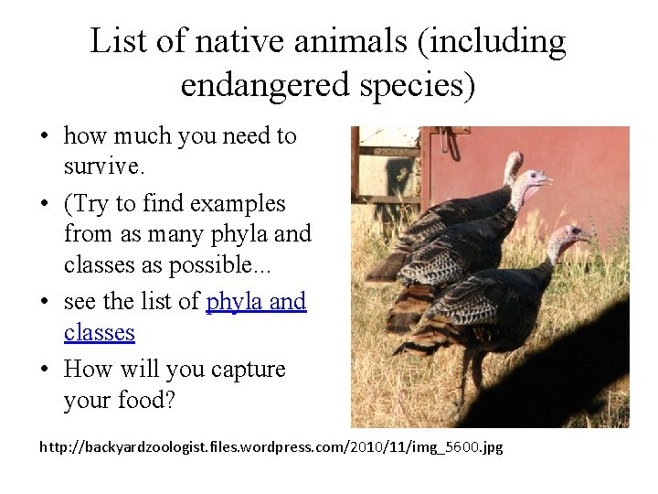 List of native animals (including endangered species) • how much you need to survive.