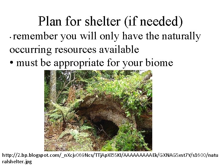 Plan for shelter (if needed) remember you will only have the naturally occurring resources