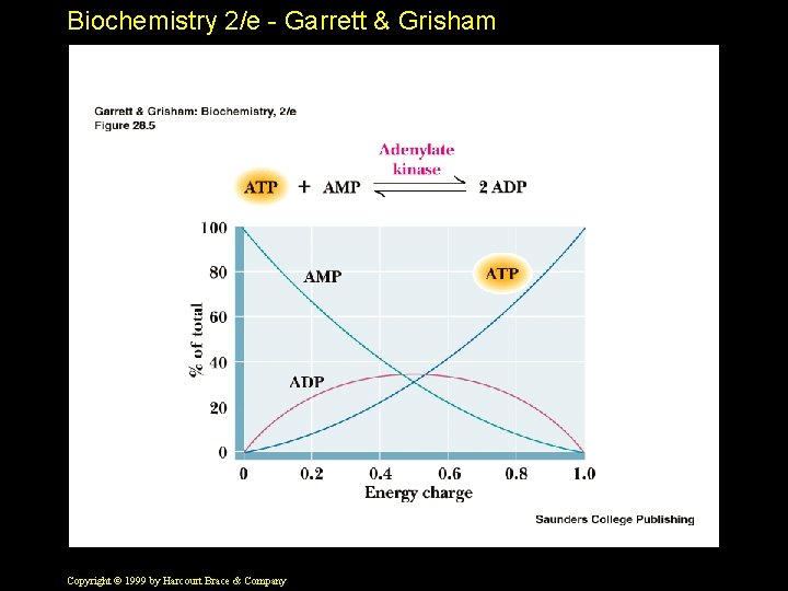 Biochemistry 2/e - Garrett & Grisham Copyright © 1999 by Harcourt Brace & Company