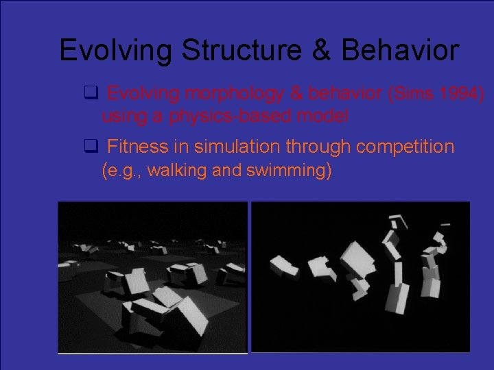 Evolving Structure & Behavior Evolving morphology & behavior (Sims 1994) using a physics-based model