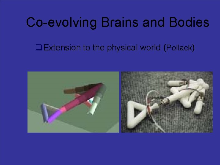 Co-evolving Brains and Bodies Extension to the physical world (Pollack) 