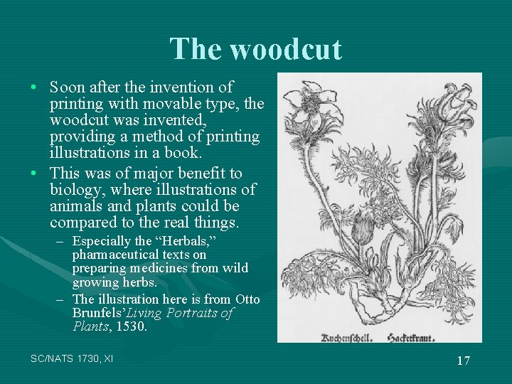 The woodcut • Soon after the invention of printing with movable type, the woodcut