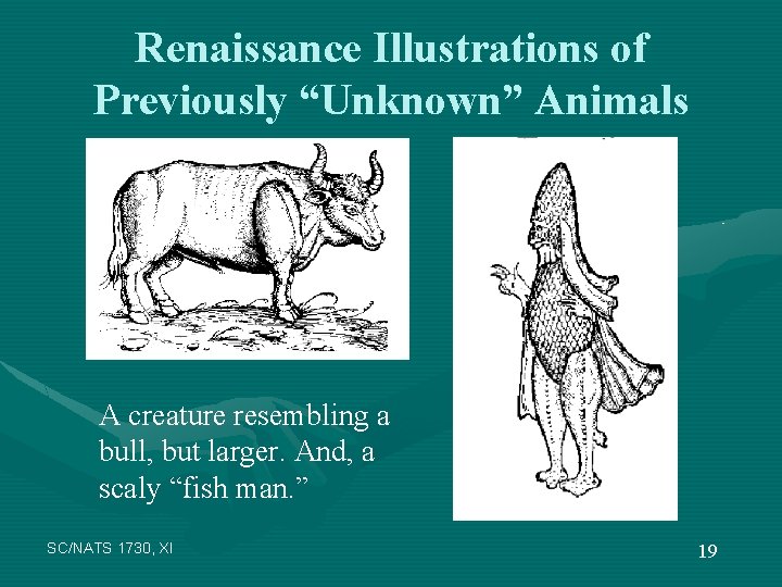 Renaissance Illustrations of Previously “Unknown” Animals A creature resembling a bull, but larger. And,