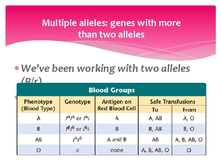 Multiple alleles: genes with more than two alleles We’ve been working with two alleles